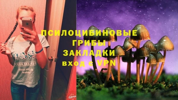 эйфоретик Алексеевка