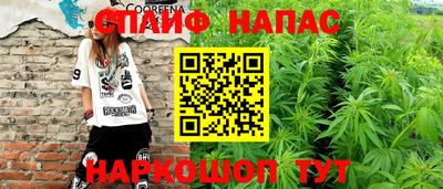 МДПВ Пушкино