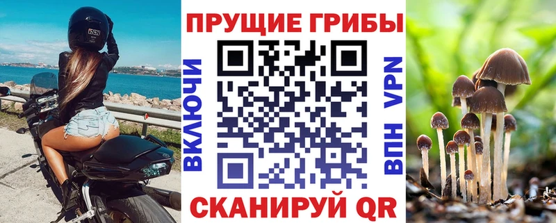 blacksprut как зайти  Сокол  Галлюциногенные грибы MAGIC MUSHROOMS 