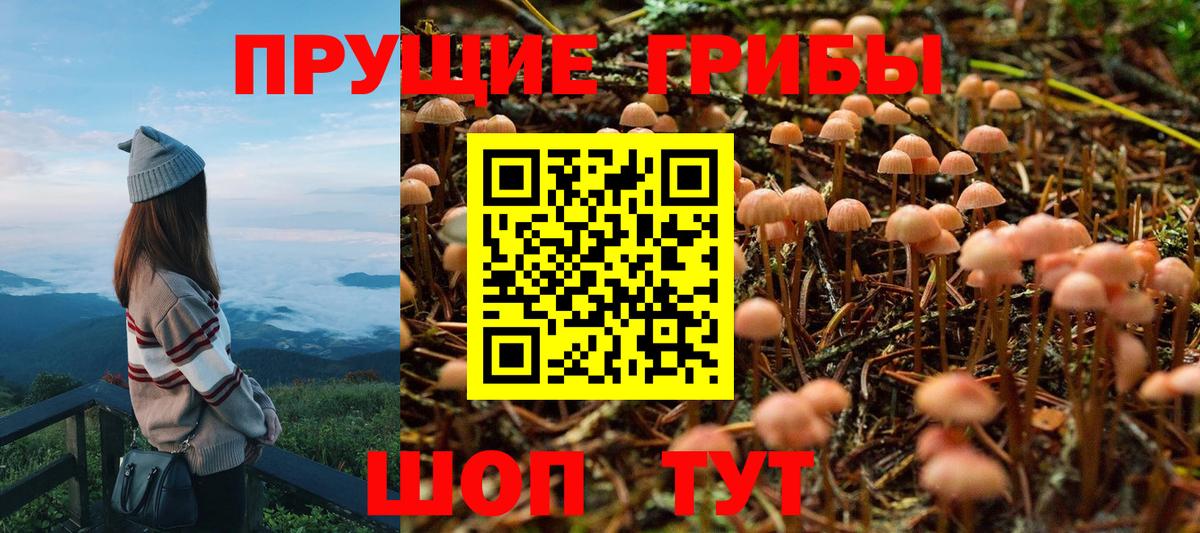 Галлюциногенные грибы мицелий Сокол
