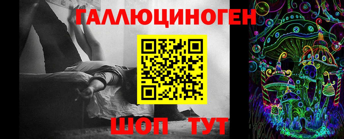 Псилоцибиновые грибы мицелий  Галлюциногенные грибы GOLDEN TEACHER  Сокол  Вход с VPN 